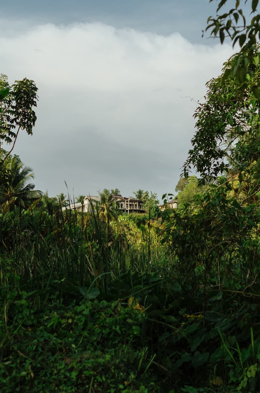 Превью Sri Lanka 2022